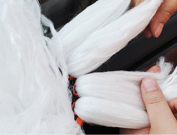 Car Wash Brush
