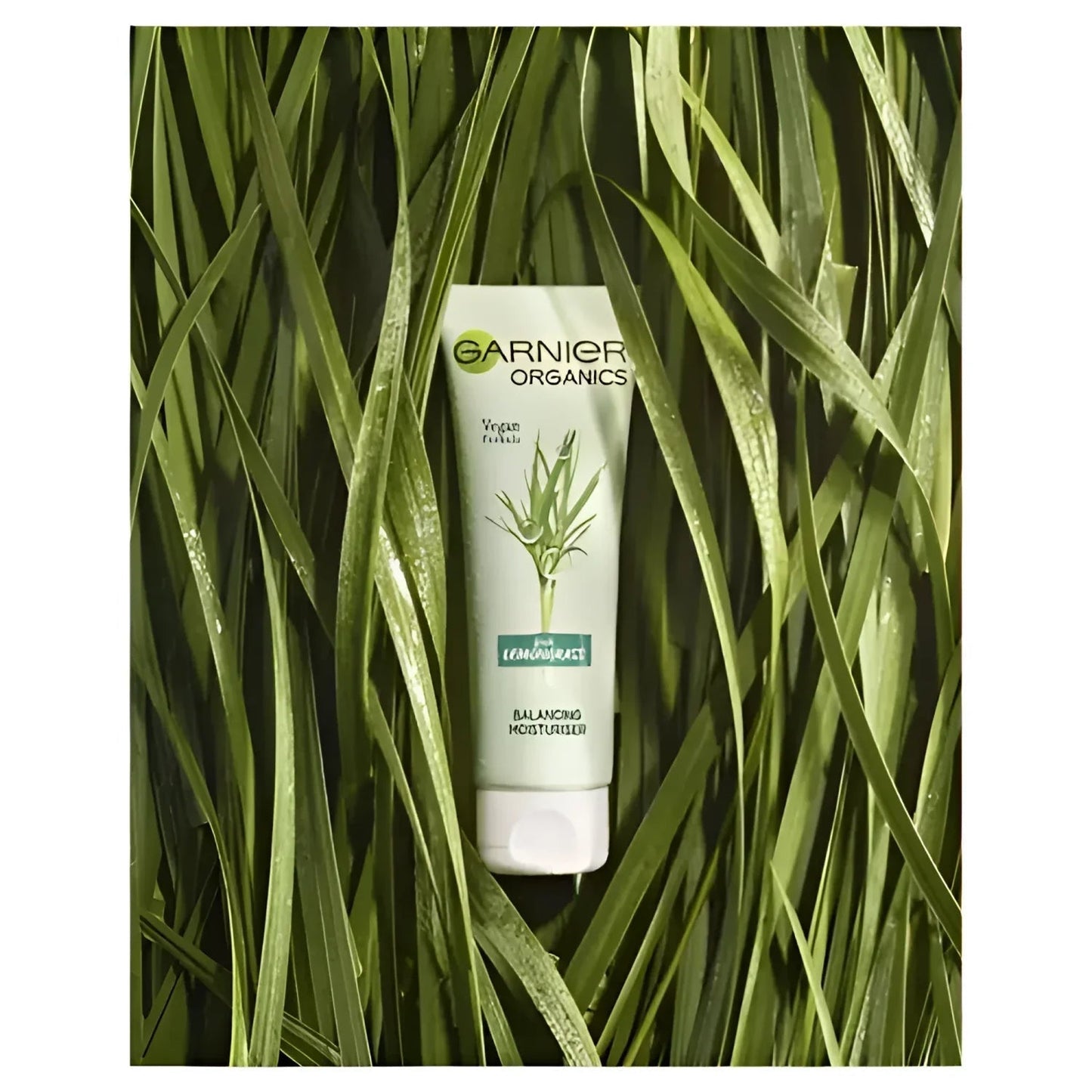 Garnier - Organics Lemongrass Balancing Moisturizer (Original)